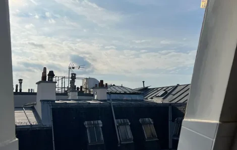 Remplacement velux Paris