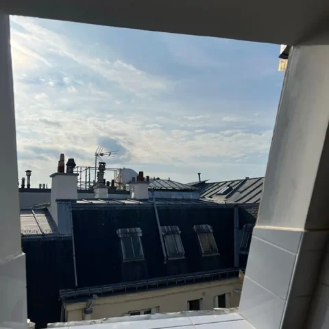 remplacement velux paris