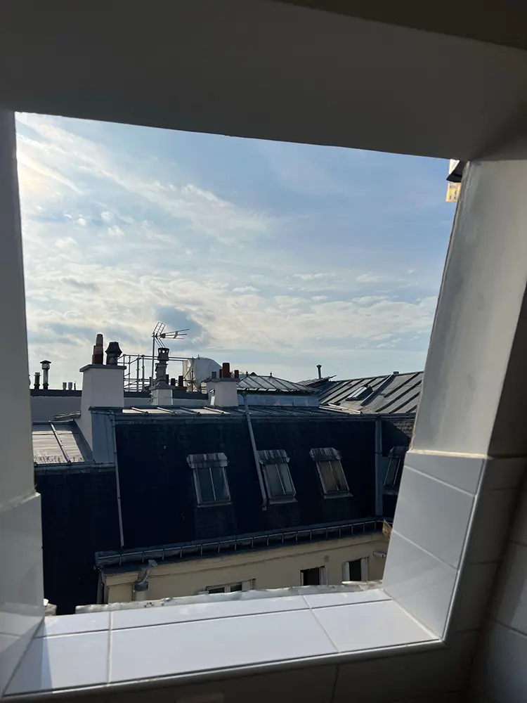 Remplacement velux Paris