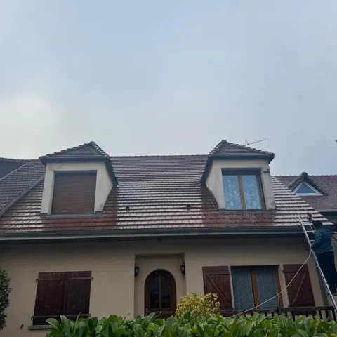 demoussage toiture bezons