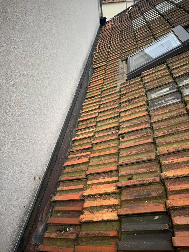 Nettoyage chéneau toiture Meudon 92190