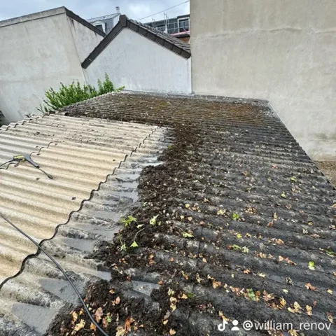demoussage toiture colombes