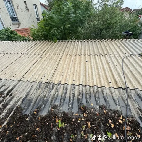 nettoyage toiture colombes 2