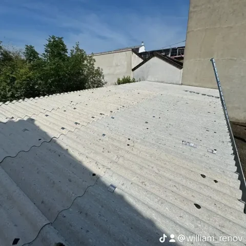nettoyage toiture colombes