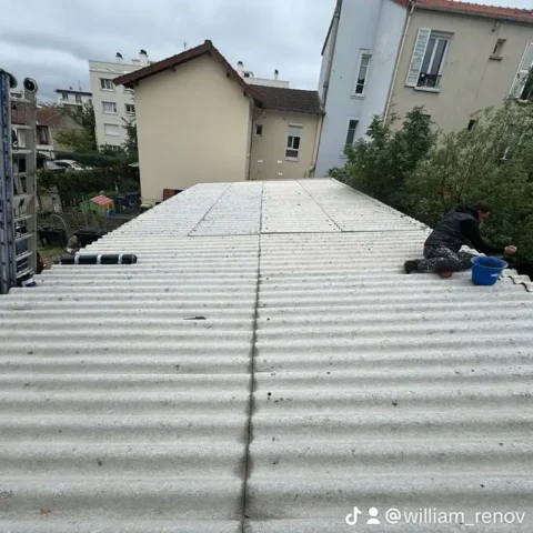 nettoyage toiture colombes 92 3