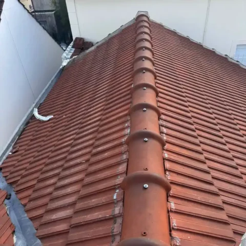 Rénovation de faîtière de toiture à Paris 75 par William Rénov